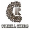 Crimea Seeds