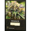 Amnesia XL